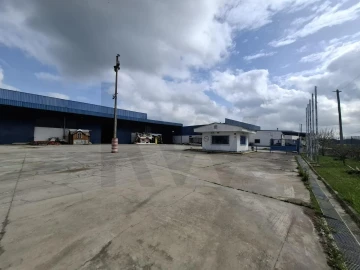 Armazém para Venda em Pegões