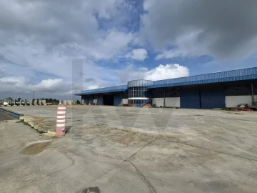 Armazém para Venda em Pegões