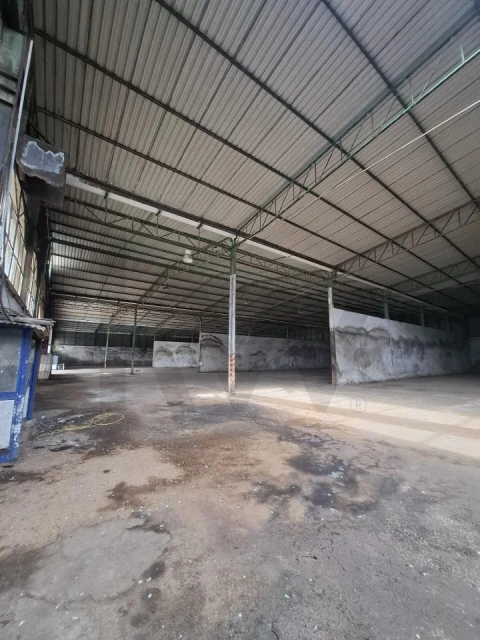 Armazém para Venda em Pegões