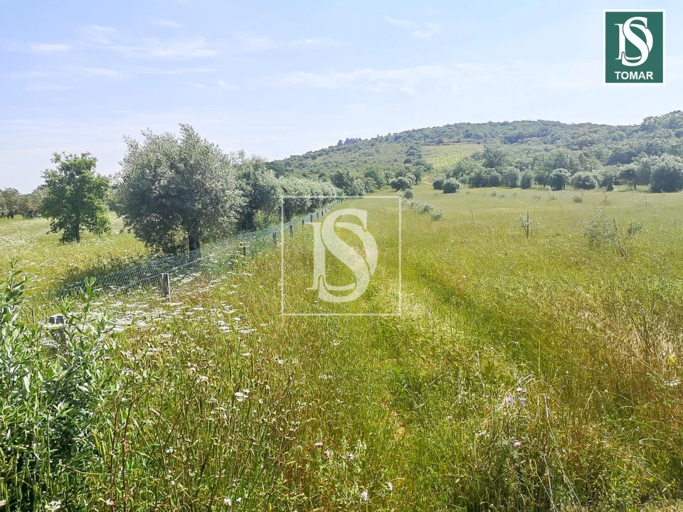Terreno para Venda em Chãos Foto 1
