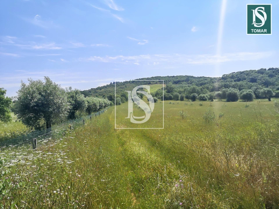 Terreno para Venda em Chãos Foto 9