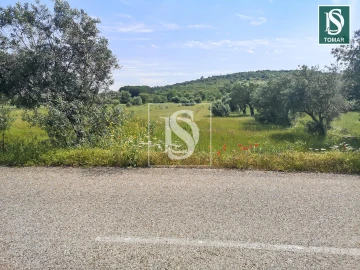Terreno para Venda em Chãos