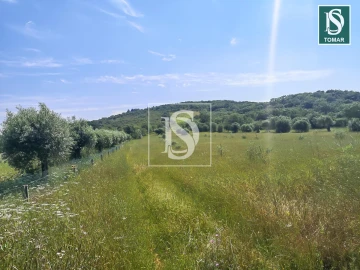 Terreno para Venda em Chãos
