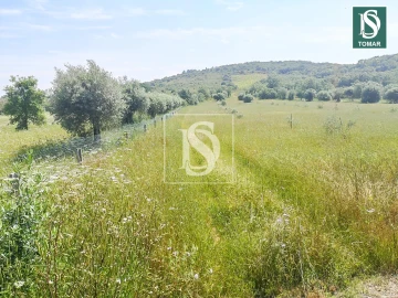 Terreno para Venda em Chãos