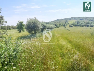 Terreno para Venda em Chãos