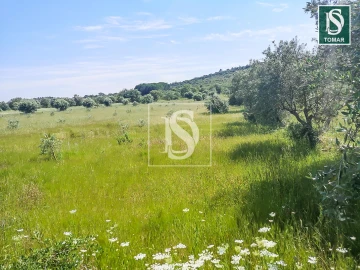 Terreno para Venda em Chãos