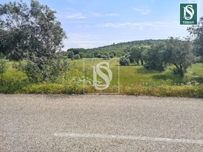 Terreno para Venda em Chãos Foto 4