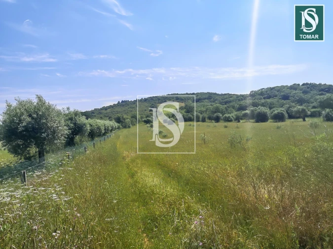 Terreno para Venda em Chãos Foto 8