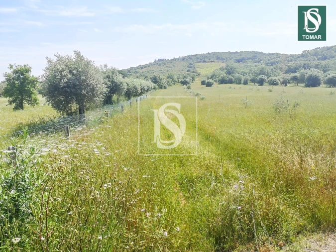 Terreno para Venda em Chãos Foto 2