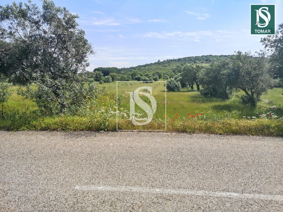 Terreno para Venda em Chãos Foto 4