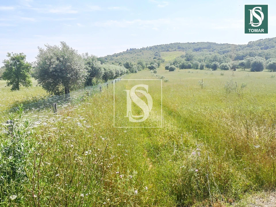Terreno para Venda em Chãos Foto 2