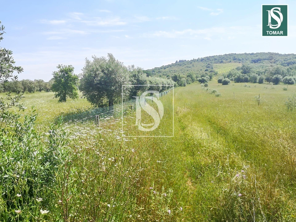 Terreno para Venda em Chãos Foto 7