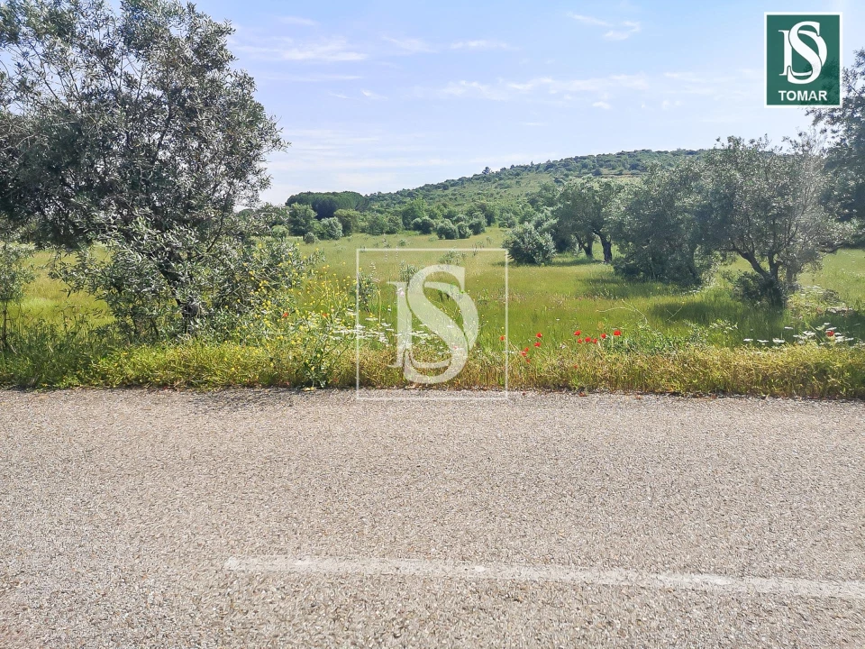 Terreno para Venda em Chãos Foto 3