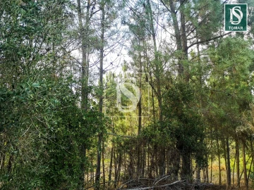 Terreno para Venda em Serra e Junceira