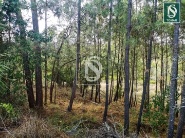 Terreno para Venda em Serra e Junceira