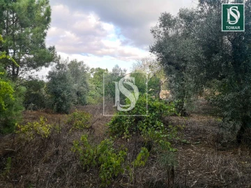 Terreno para Venda em Serra e Junceira