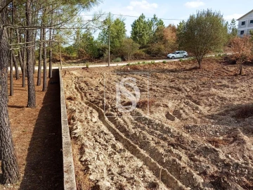 Terreno para Venda em Serra e Junceira
