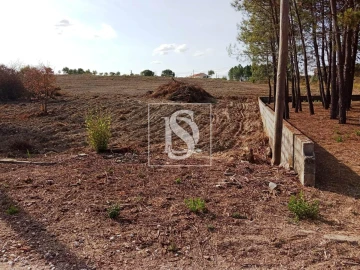 Terreno para Venda em Serra e Junceira