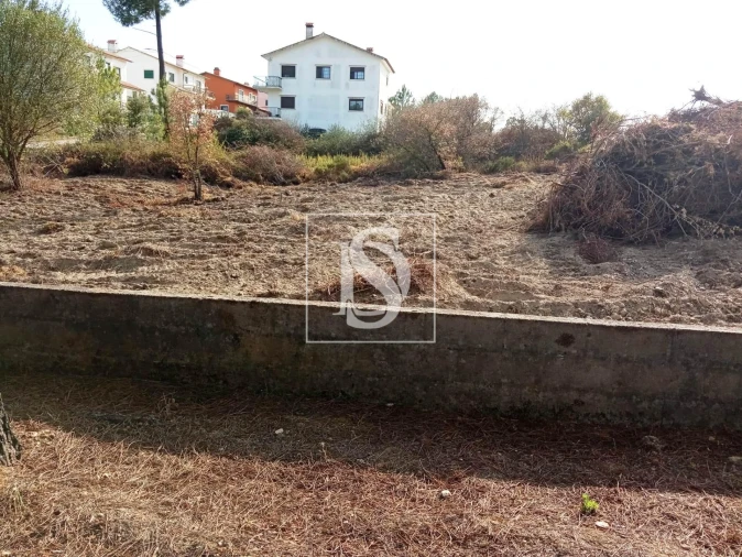 Terreno para Venda em Serra e Junceira Foto 7