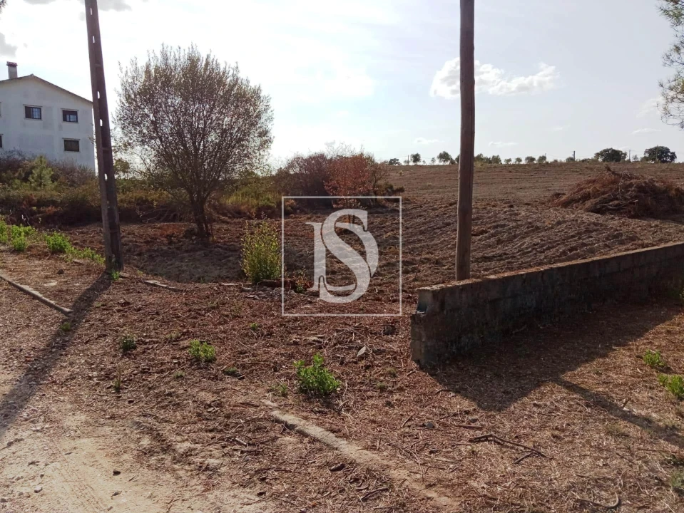 Terreno para Venda em Serra e Junceira Foto 6