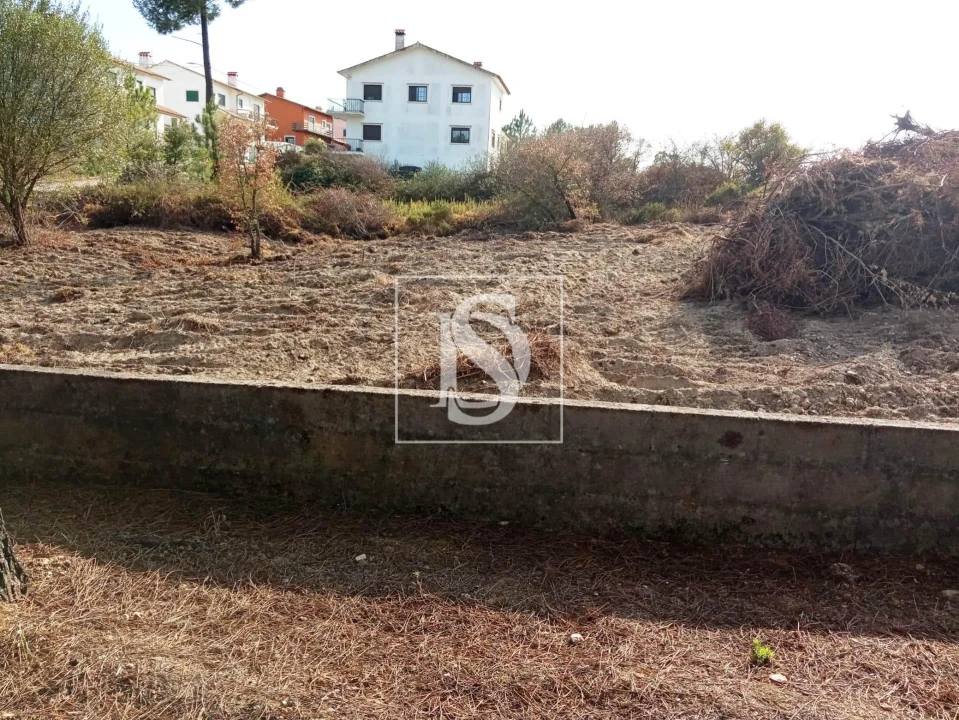 Terreno para Venda em Serra e Junceira Foto 7