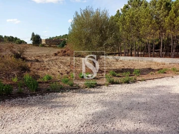 Terreno para Venda em Serra e Junceira