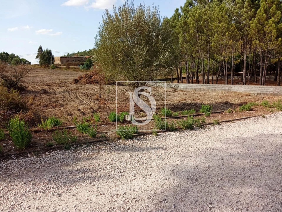 Terreno para Venda em Serra e Junceira Foto 2