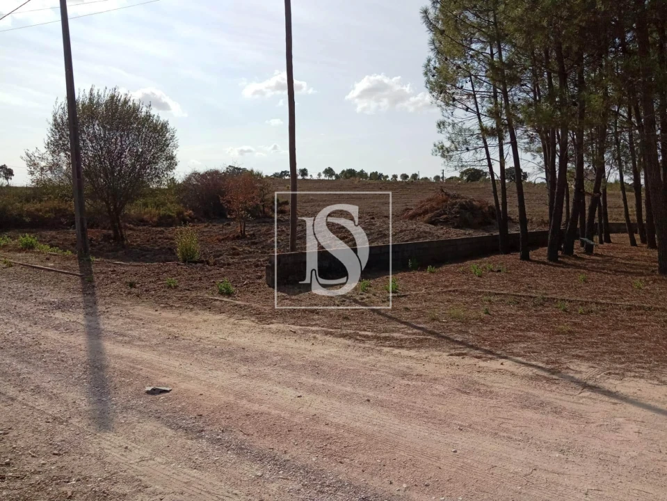 Terreno para Venda em Serra e Junceira Foto 5