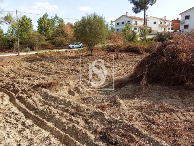 Terreno para Venda em Serra e Junceira Foto 9