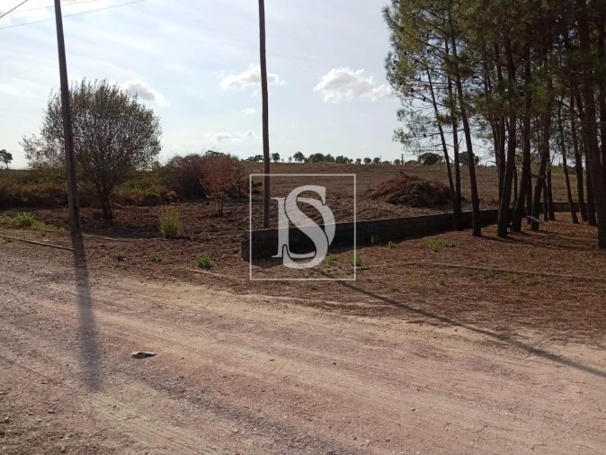 Terreno para Venda em Serra e Junceira Foto 5