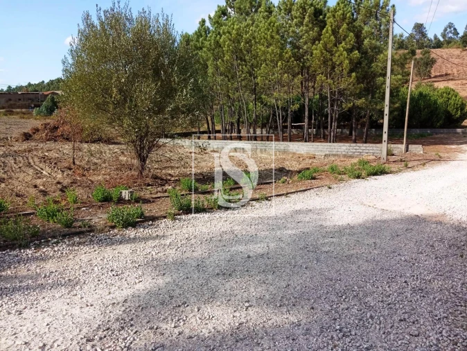 Terreno para Venda em Serra e Junceira Foto 8