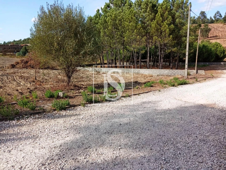 Terreno para Venda em Serra e Junceira Foto 8