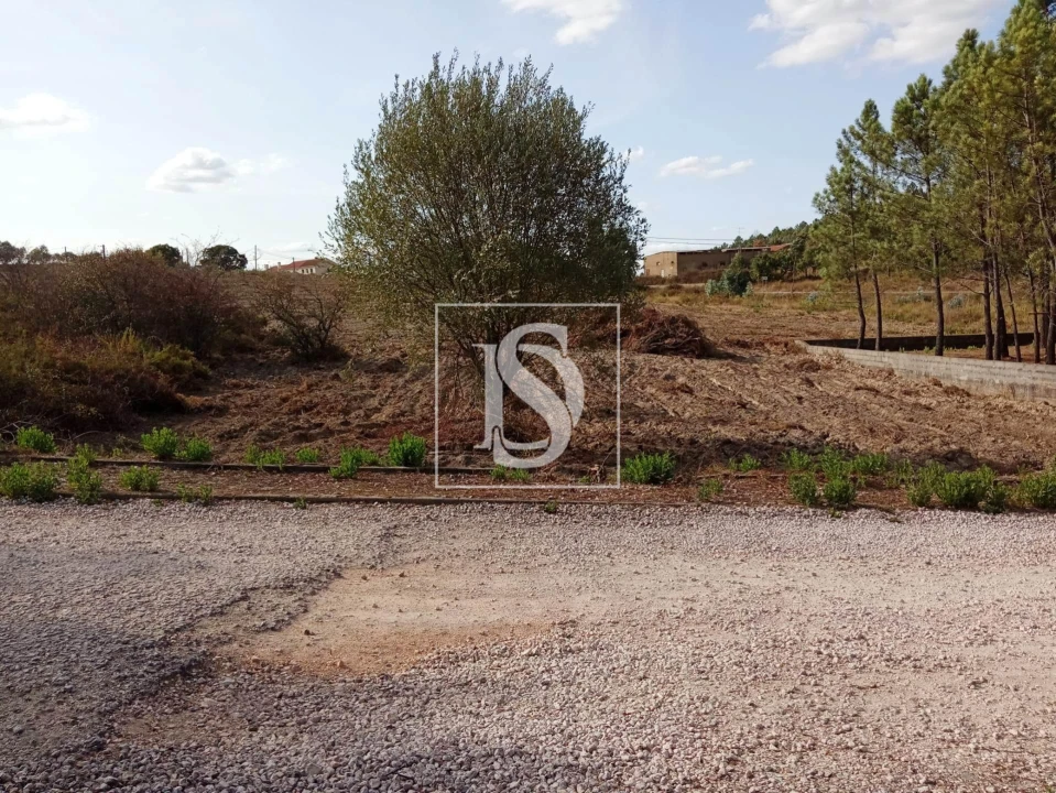 Terreno para Venda em Serra e Junceira Foto 1