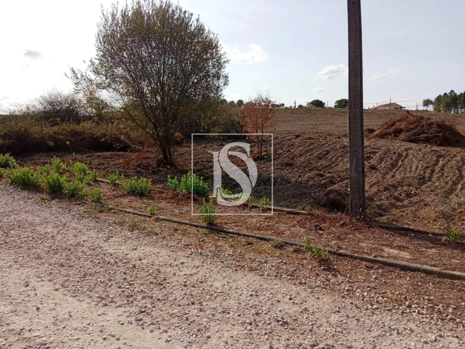 Terreno para Venda em Serra e Junceira Foto 11
