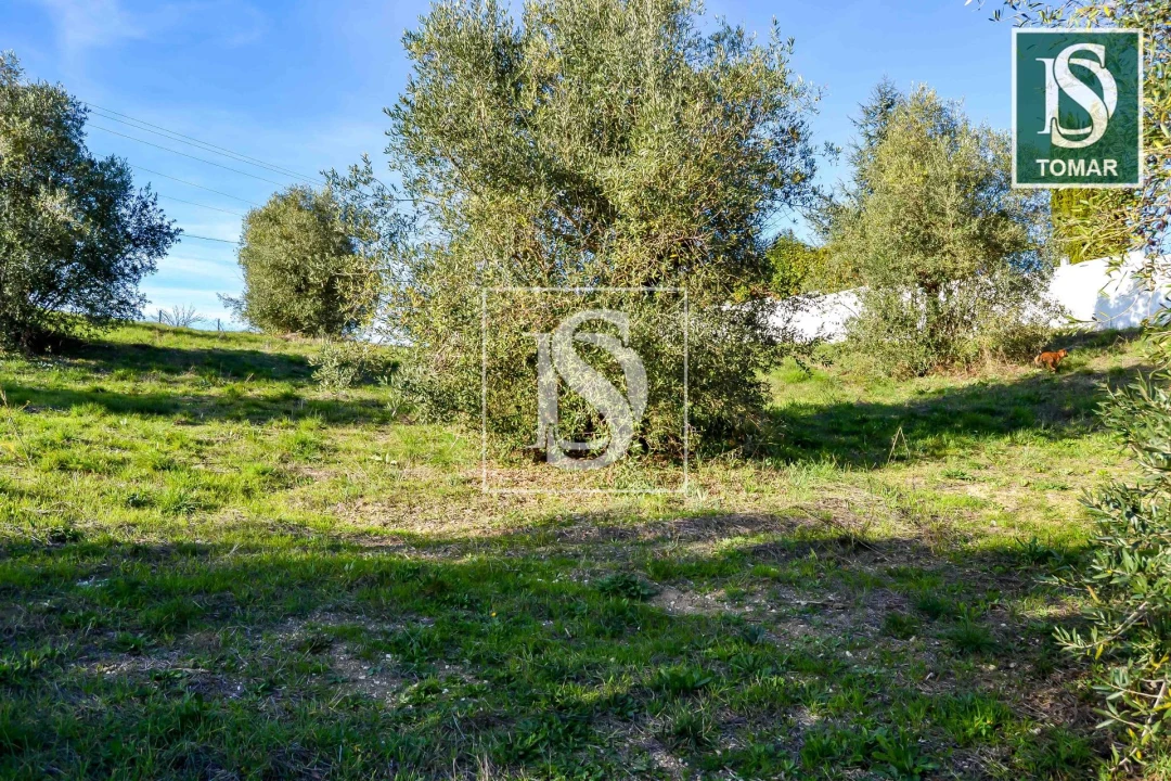 Terreno para Venda em São João Baptista e Santa Maria dos Olivais Foto 12