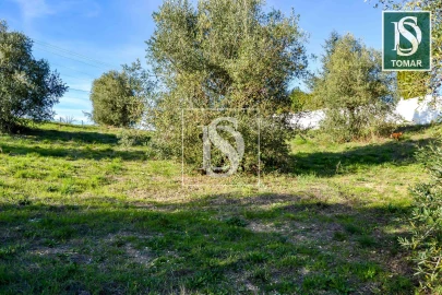 Terreno para Venda em São João Baptista e Santa Maria dos Olivais