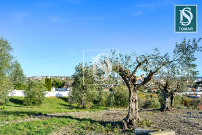 Terreno para Venda em São João Baptista e Santa Maria dos Olivais