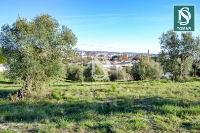 Terreno para Venda em São João Baptista e Santa Maria dos Olivais