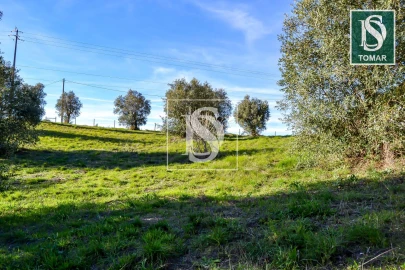 Terreno para Venda em São João Baptista e Santa Maria dos Olivais
