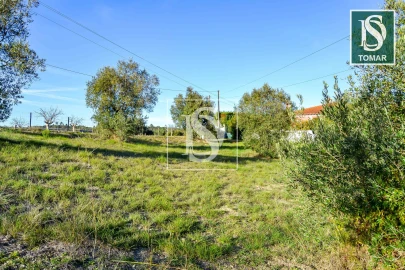 Terreno para Venda em São João Baptista e Santa Maria dos Olivais