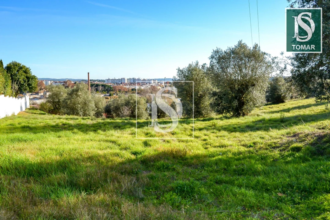 Terreno para Venda em São João Baptista e Santa Maria dos Olivais Foto 7