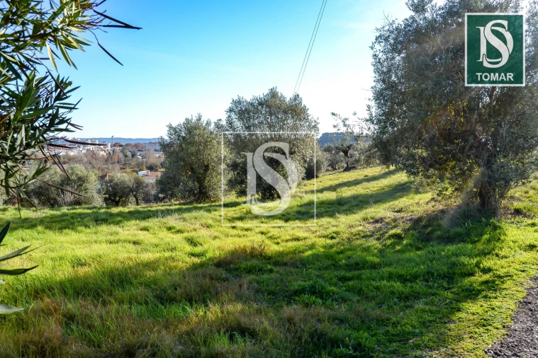Terreno para Venda em São João Baptista e Santa Maria dos Olivais Foto 6