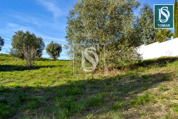Terreno para Venda em São João Baptista e Santa Maria dos Olivais Foto 13