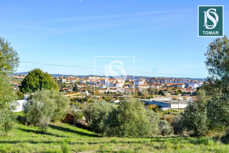 Terreno para Venda em São João Baptista e Santa Maria dos Olivais Foto 21