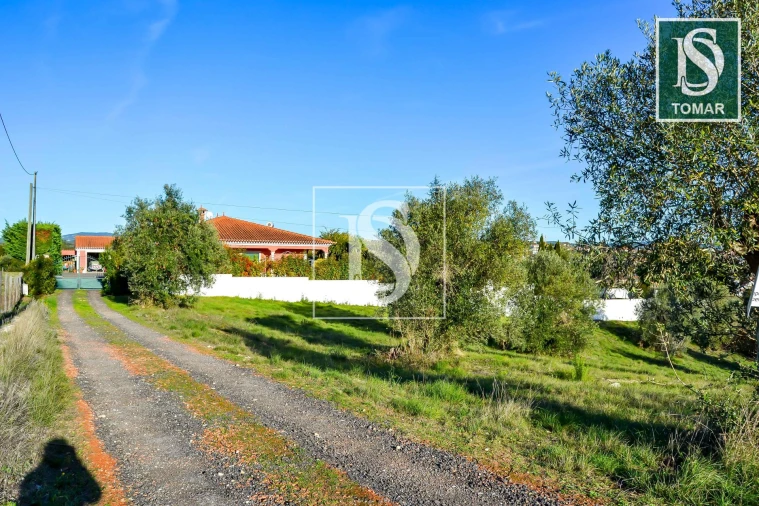 Terreno para Venda em São João Baptista e Santa Maria dos Olivais Foto 19