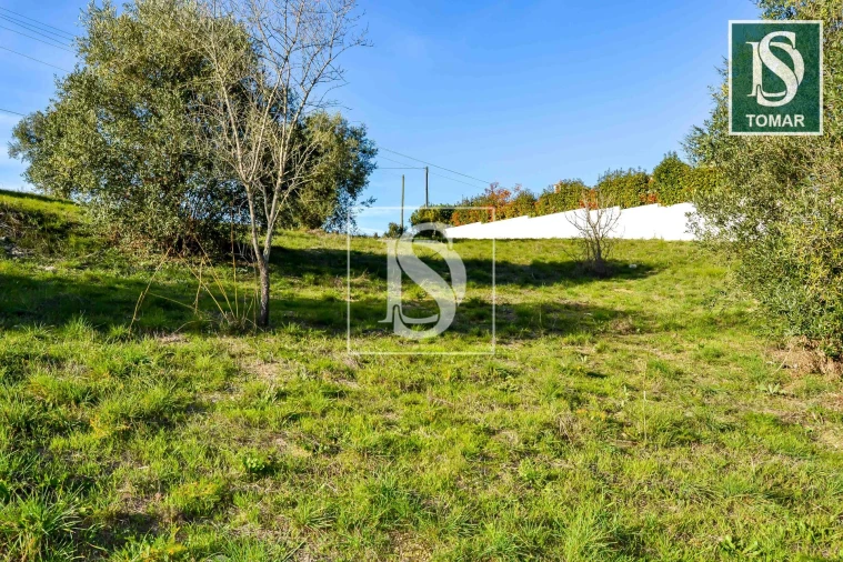 Terreno para Venda em São João Baptista e Santa Maria dos Olivais Foto 10