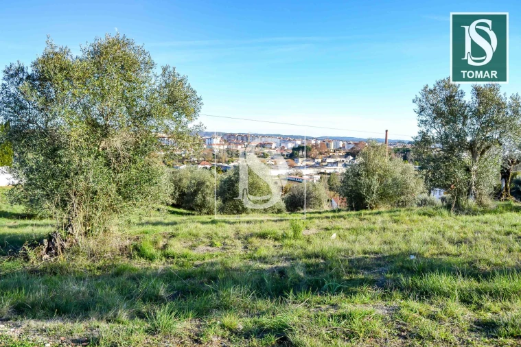 Terreno para Venda em São João Baptista e Santa Maria dos Olivais Foto 3