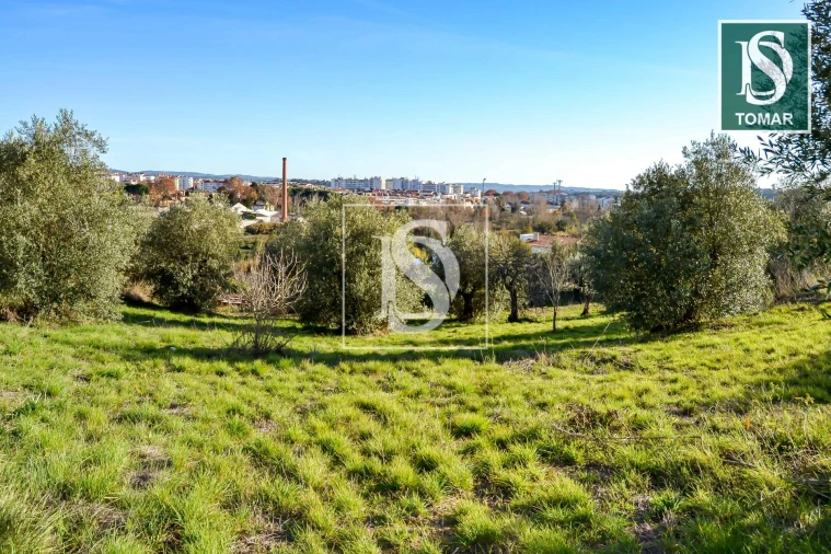 Terreno para Venda em São João Baptista e Santa Maria dos Olivais Foto 9