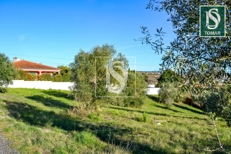 Terreno para Venda em São João Baptista e Santa Maria dos Olivais Foto 2