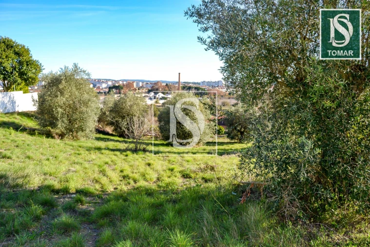 Terreno para Venda em São João Baptista e Santa Maria dos Olivais Foto 8